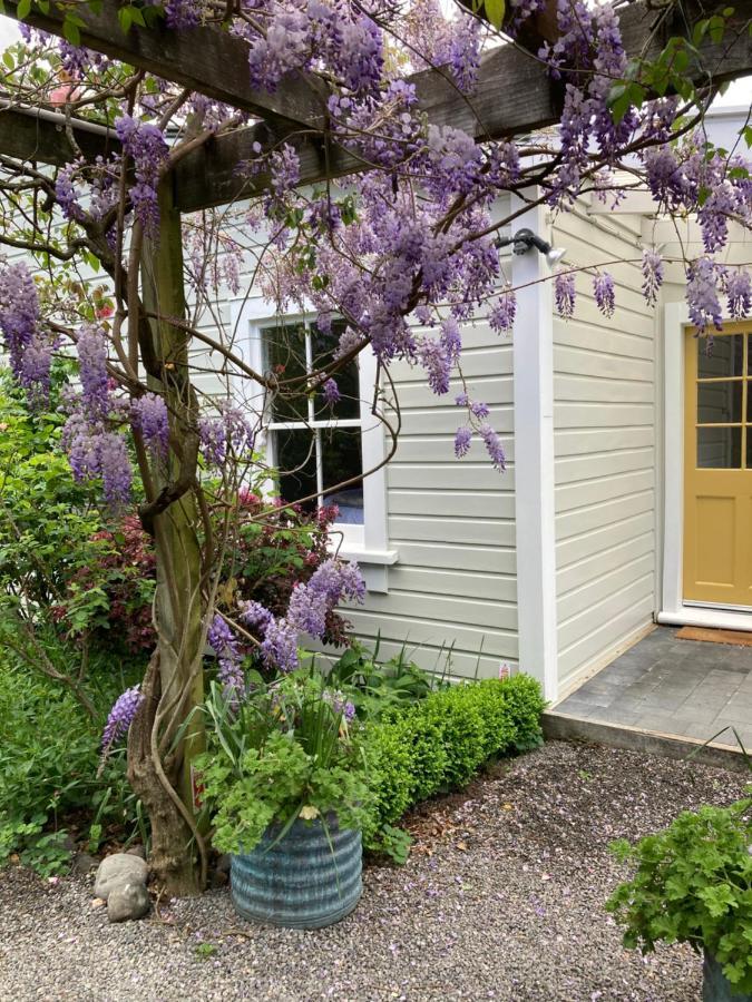 Country Bliss Cottage Greytown Exteriér fotografie